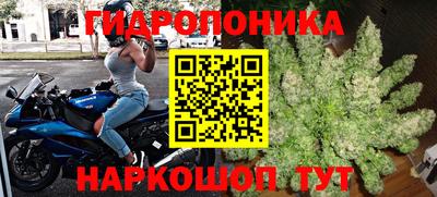 скорость Гусь-Хрустальный